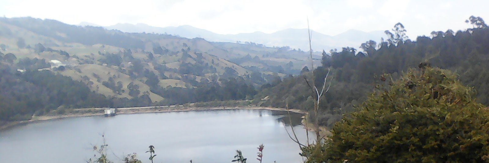 alecava2001's profile banner image