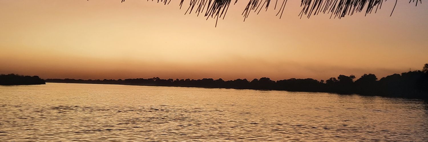 AmyLimb1's profile banner image