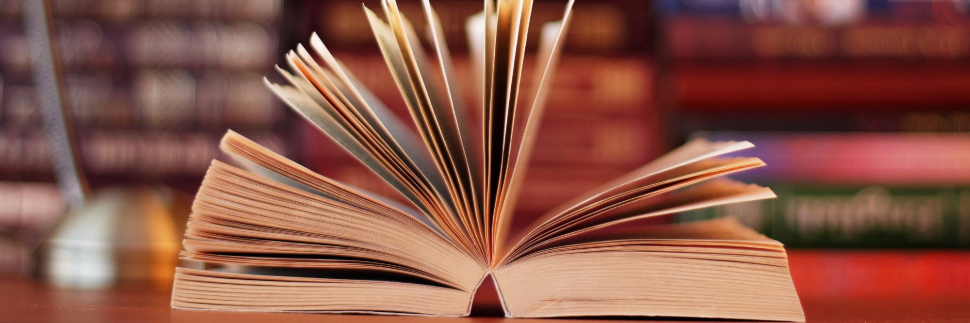 LiteramenteBlog's profile banner image