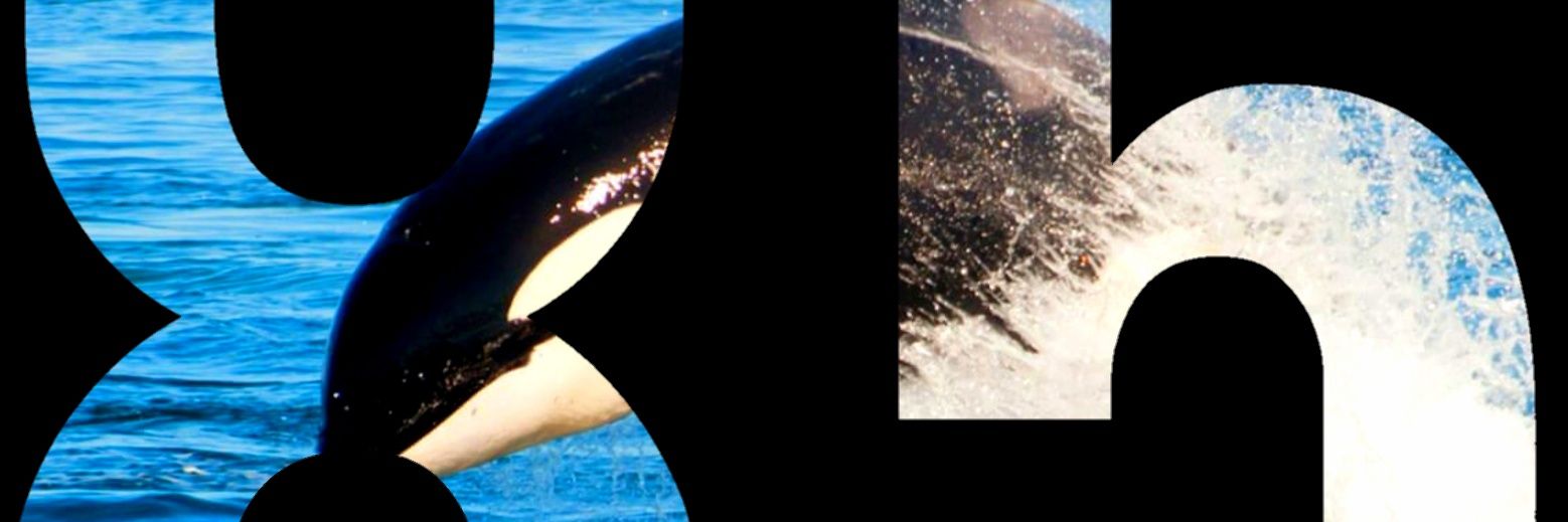 Narryhuts's profile banner image