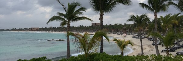 islandmentality Profile Banner