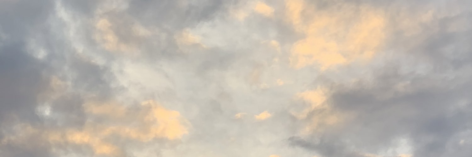 Devin banner