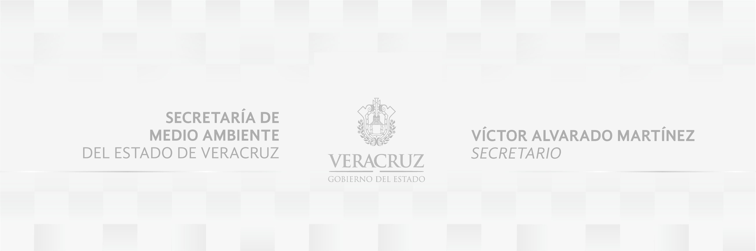 SEDEMA Ver banner