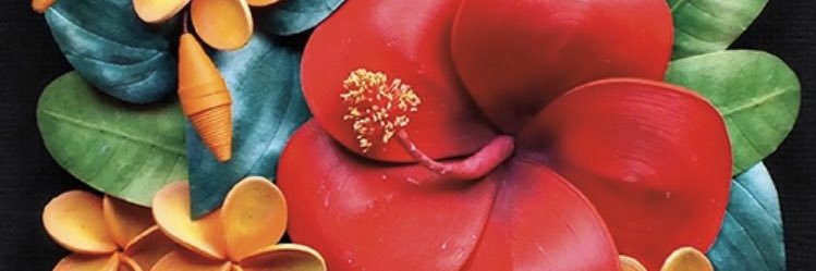 Anne_Barngrover's profile banner image