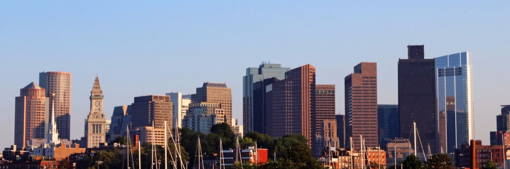 Edlitera banner