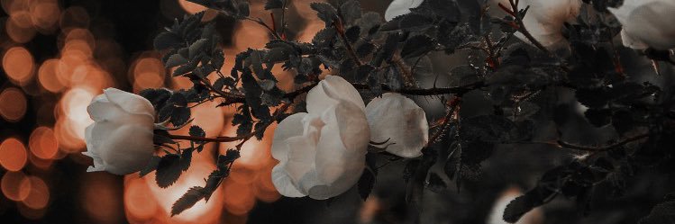 preetypreet93's profile banner image