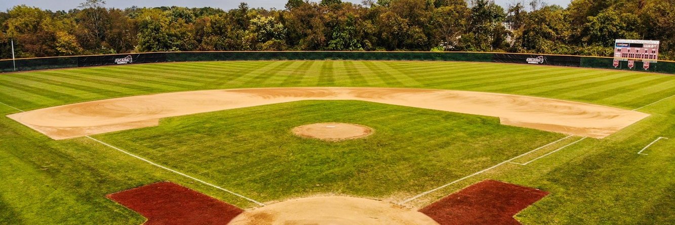 Arcadia Baseball banner