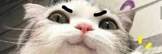 iveth_Tuit's profile banner image