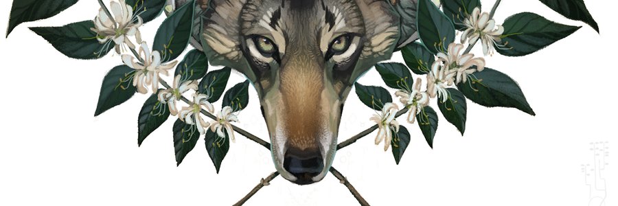 kmayela's profile banner image