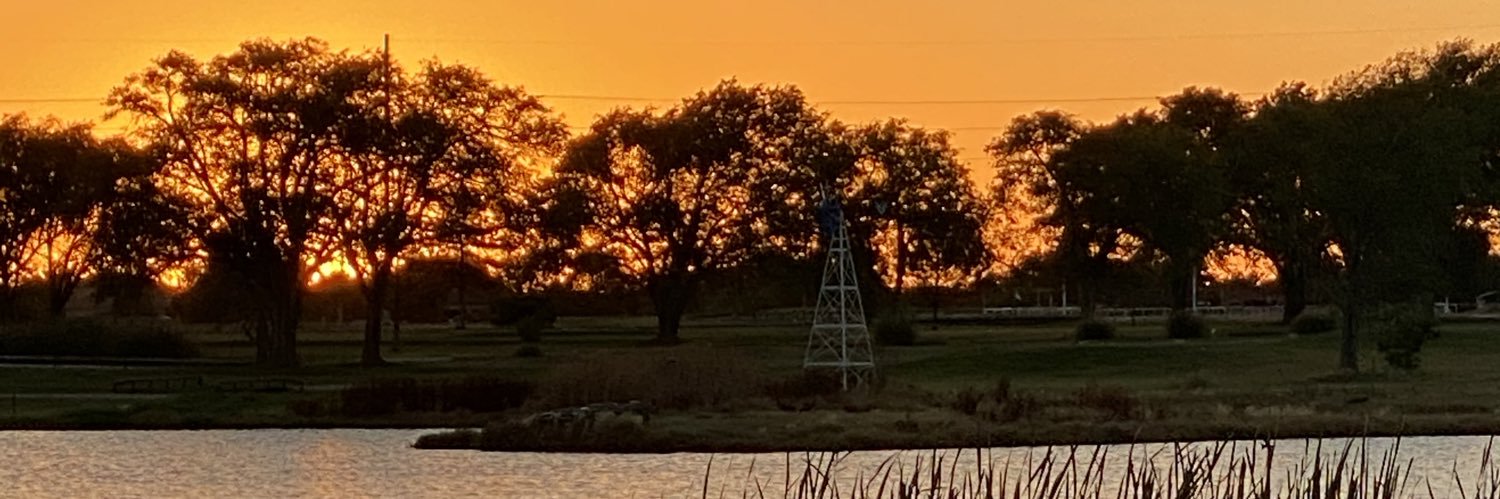 mombear54's profile banner image
