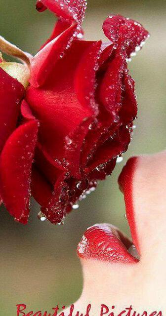 Chiki_Calderon's profile banner image