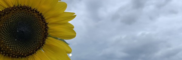 SilverAndTech Profile Banner