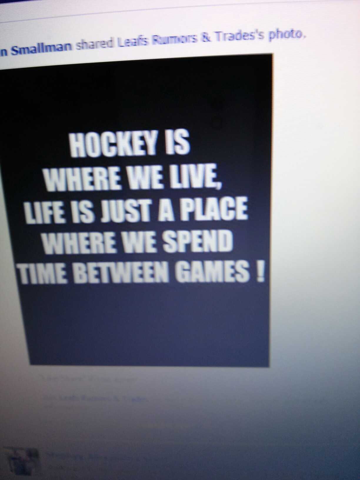 danleafs's profile banner image