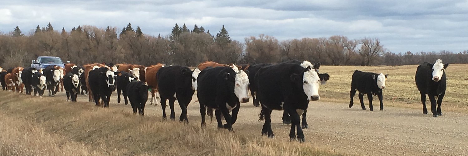 Signe De'Athe banner