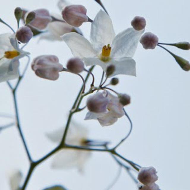 Adekemioshun's profile banner image
