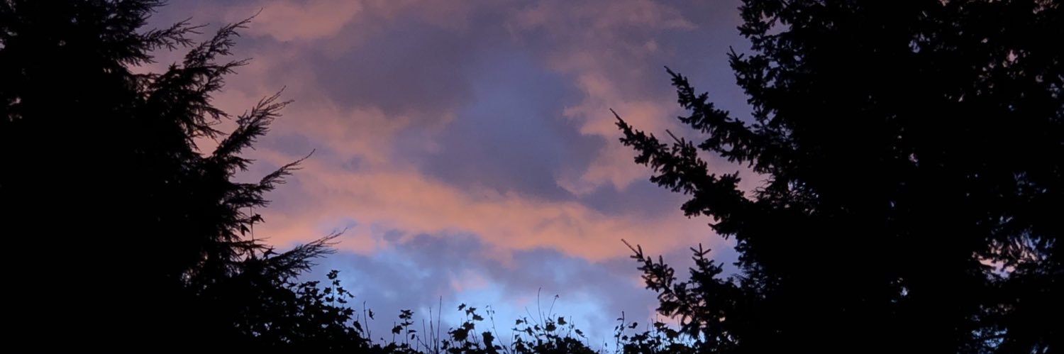 HGottschlich's profile banner image