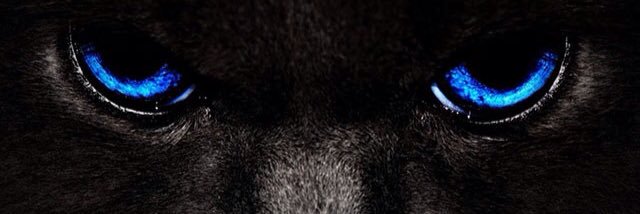 Dewanatomy's profile banner image
