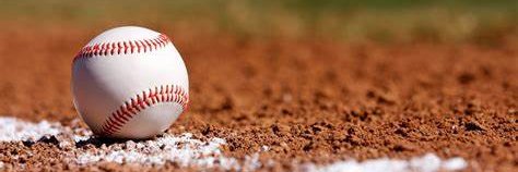Randy Jones banner