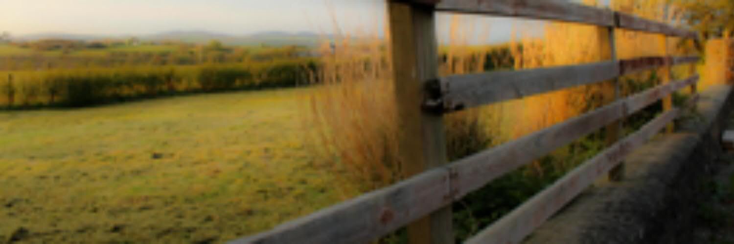 coolkidzcooltri's profile banner image