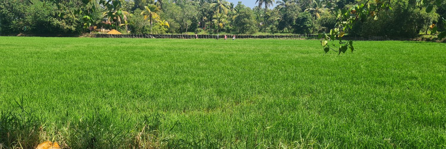 vtampuran's profile banner image