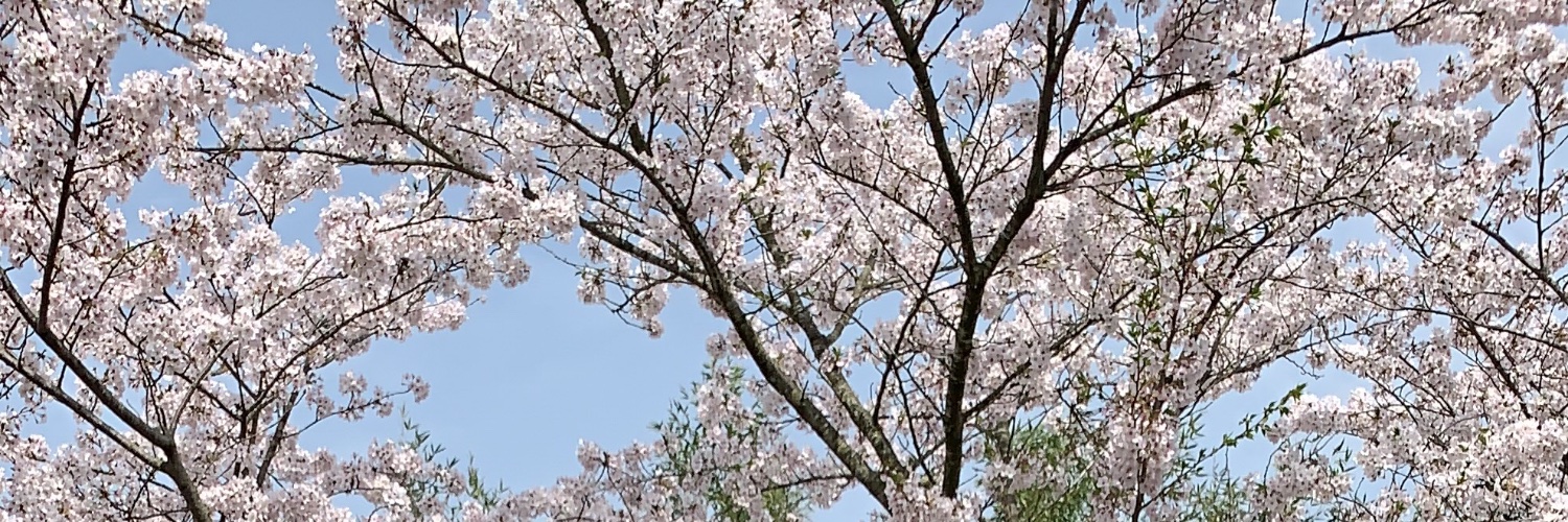 8Xgenie's profile banner image