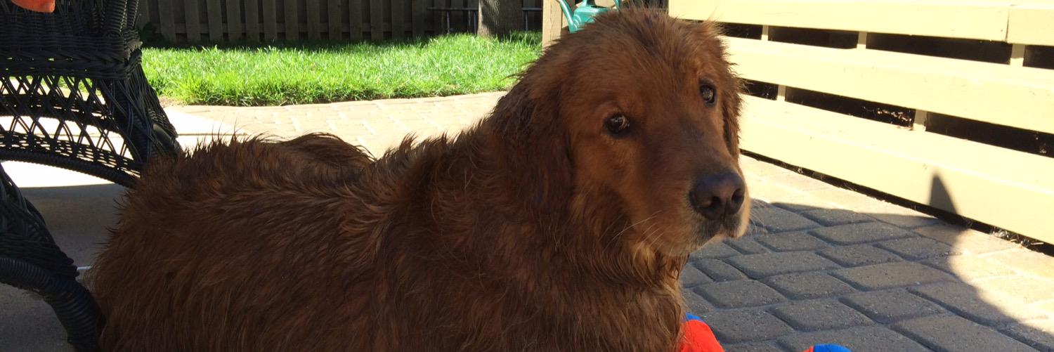 Kletes Koleda banner