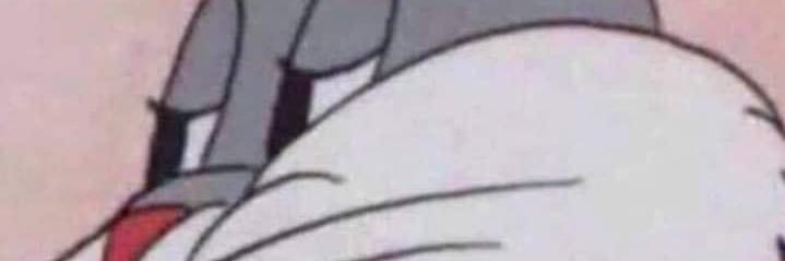 jotaro jostar banner