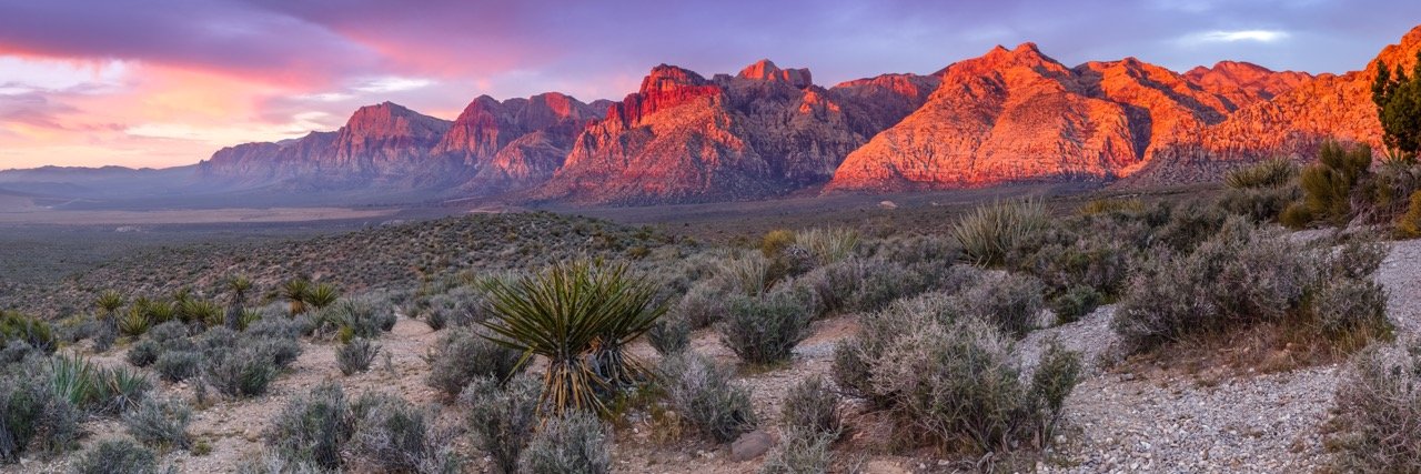 Save Red Rock banner