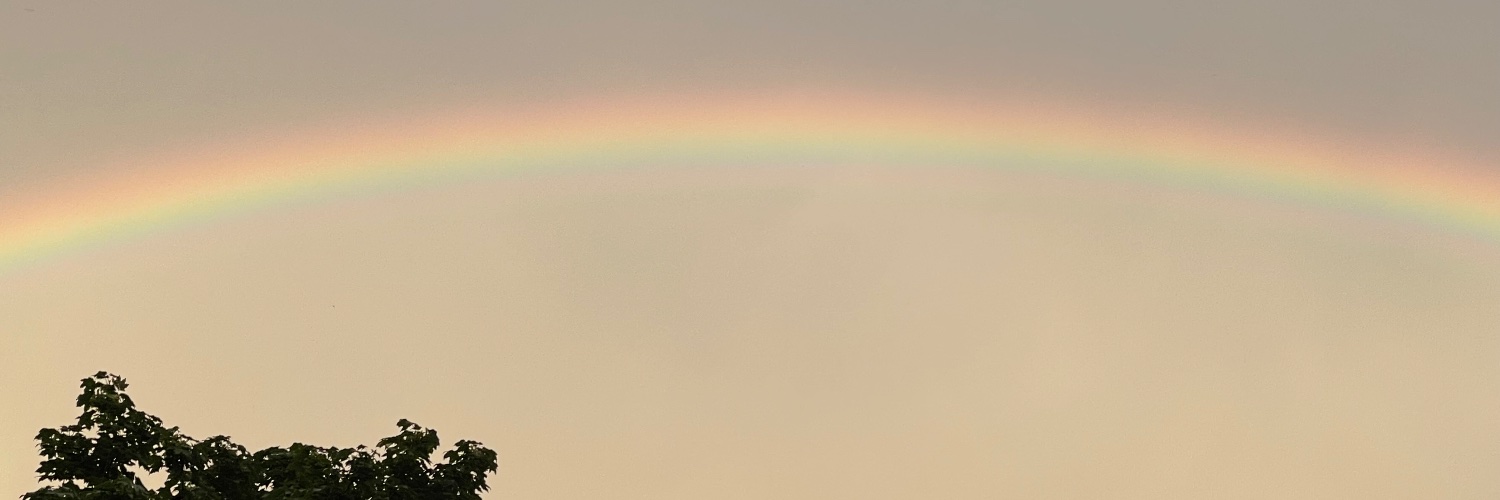 @StableGenius banner