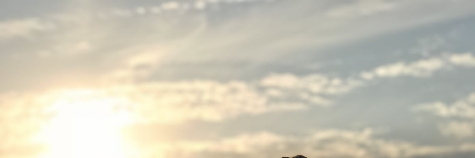 Inesita_Sanchez's profile banner image