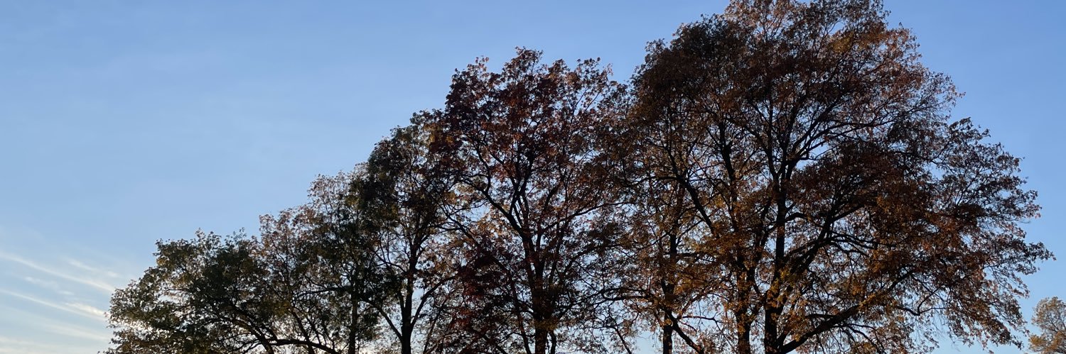 ValisiaLeKae's profile banner image