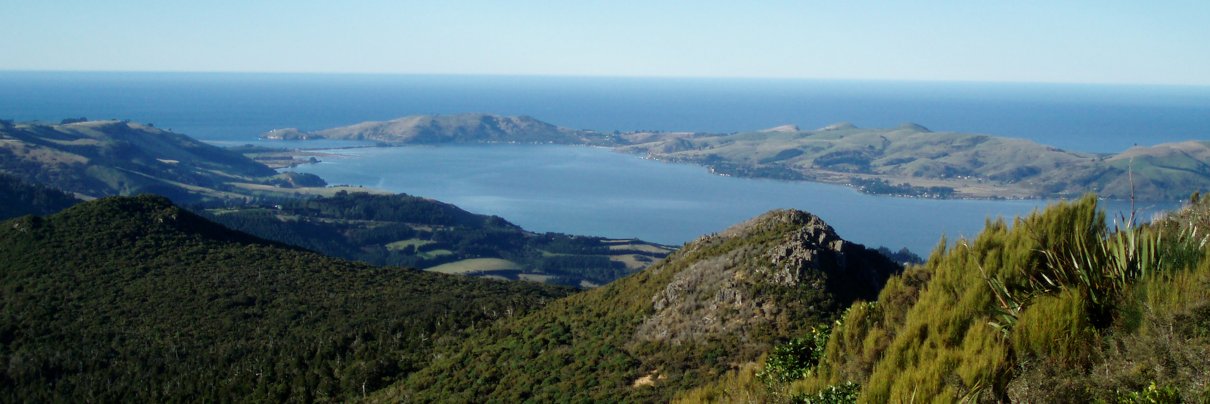 Scott Farrell banner