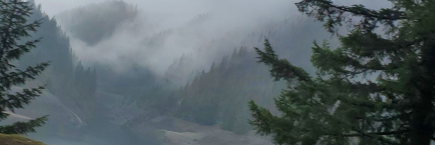 anzicamoli's profile banner image