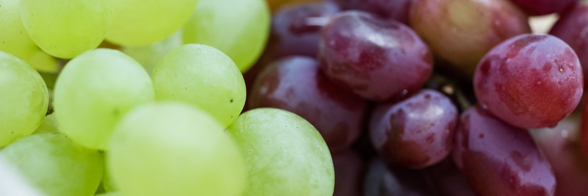 The PANIC Study banner