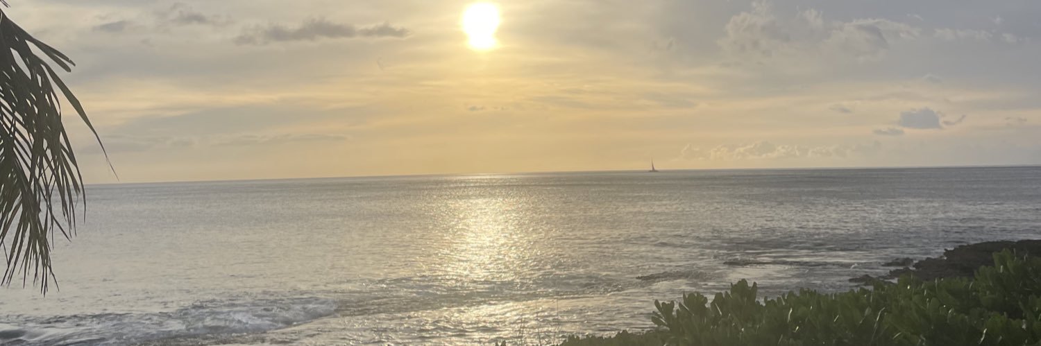 alinix15's profile banner image