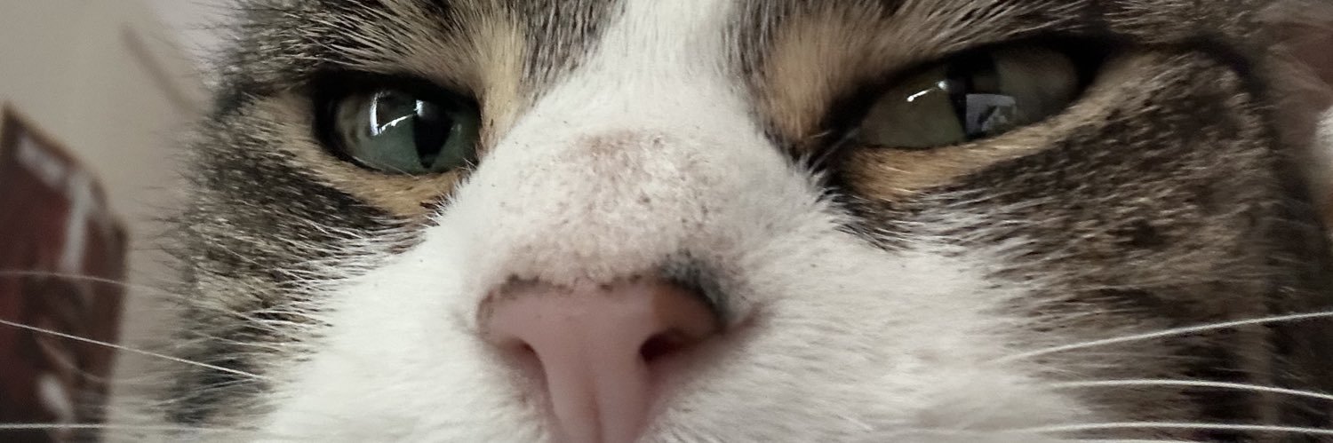 Emily_Blxss's profile banner image