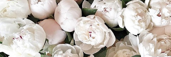 leidyalexa10's profile banner image