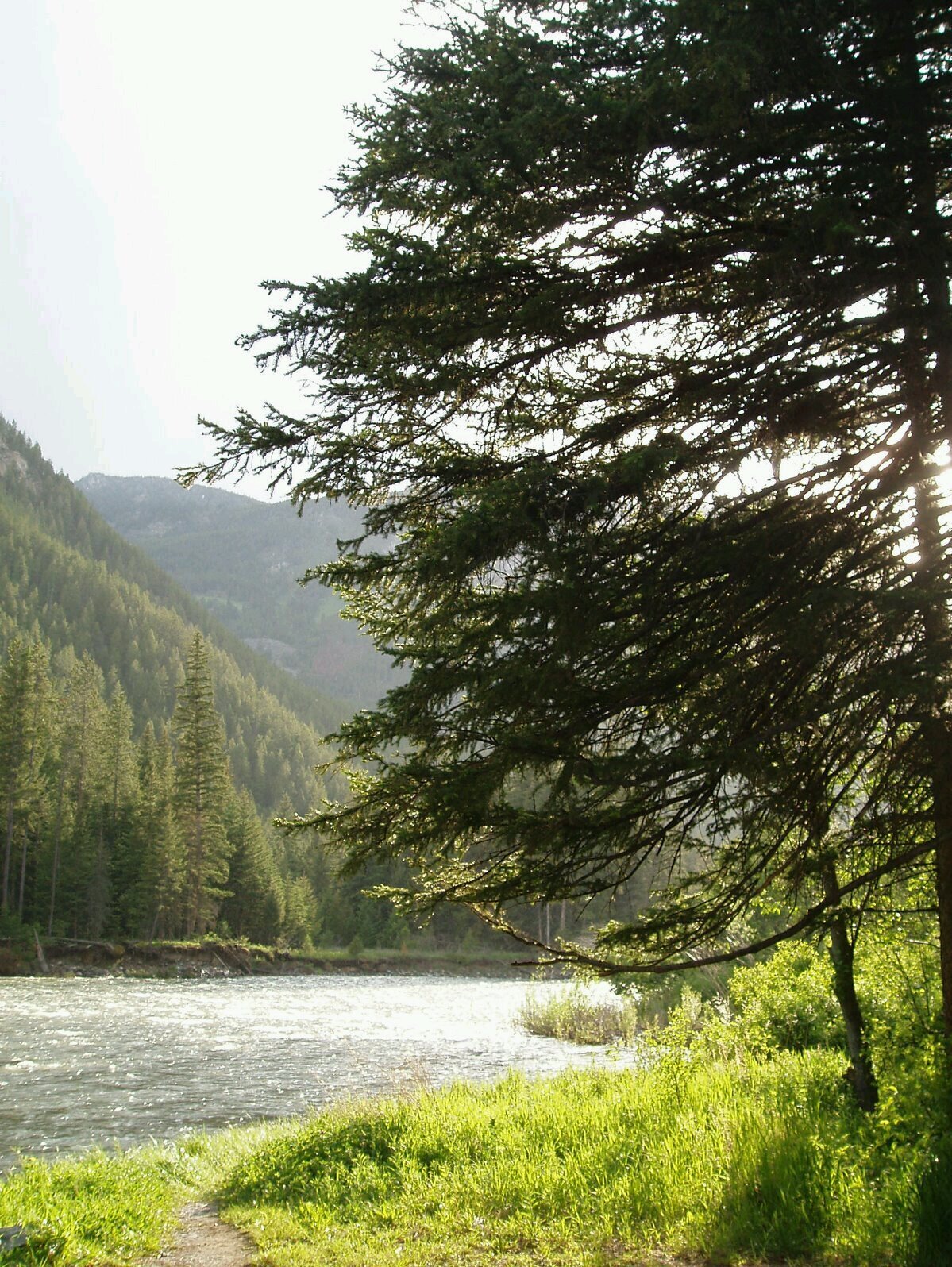 Sara Ketelsen banner