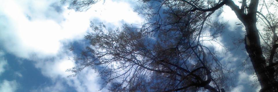 LebasGb's profile banner image