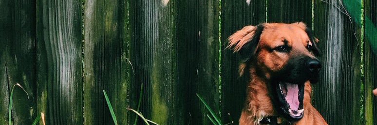 holllahails's profile banner image