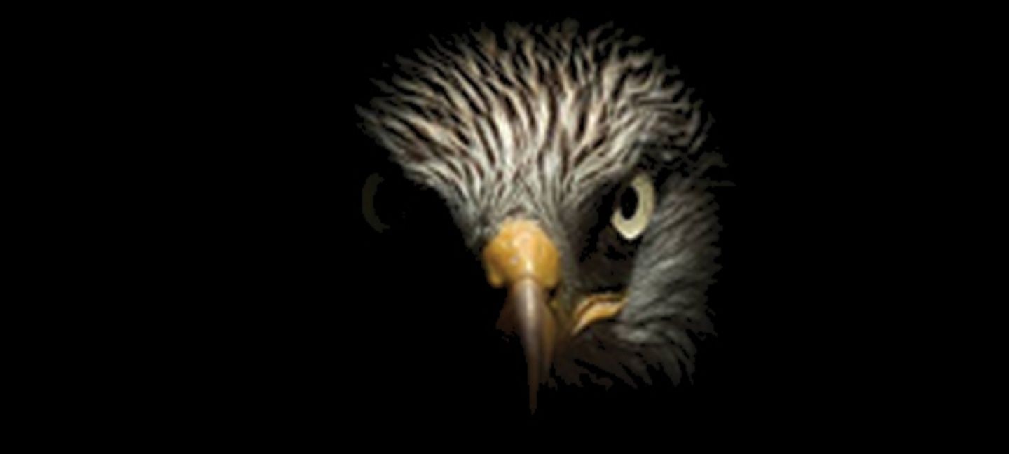 Christopher Gordon banner