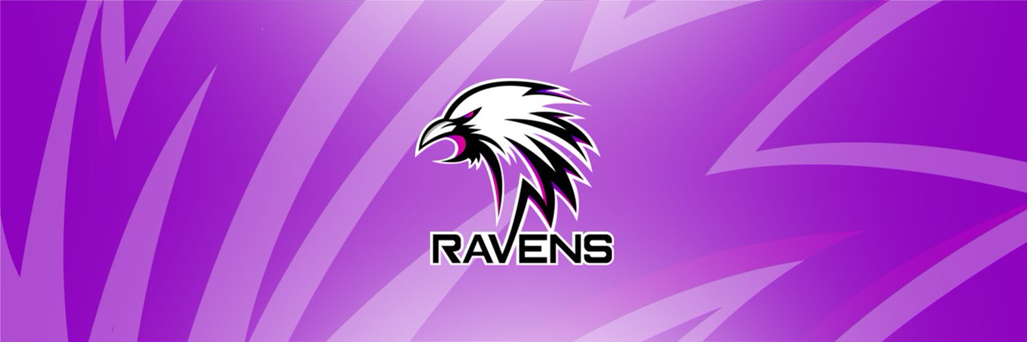 Ravens Profile Banner