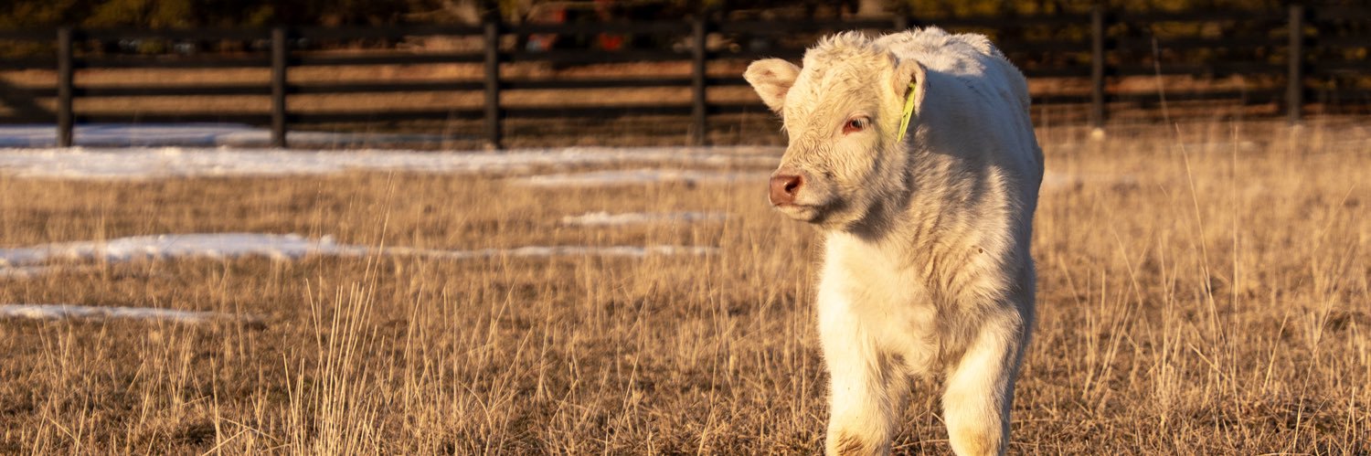 Jamie Heaslip CCA-ON banner