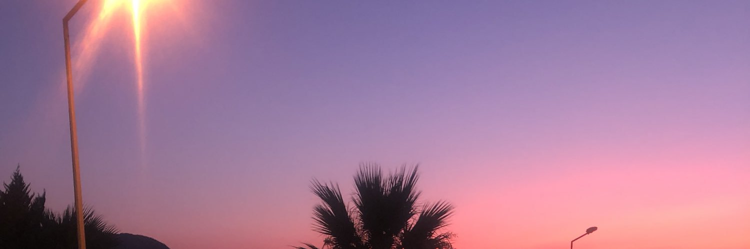 RachelSollis's profile banner image
