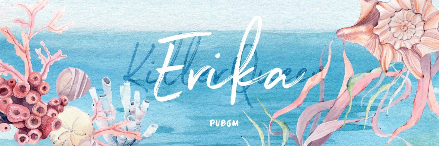 ER!KA banner