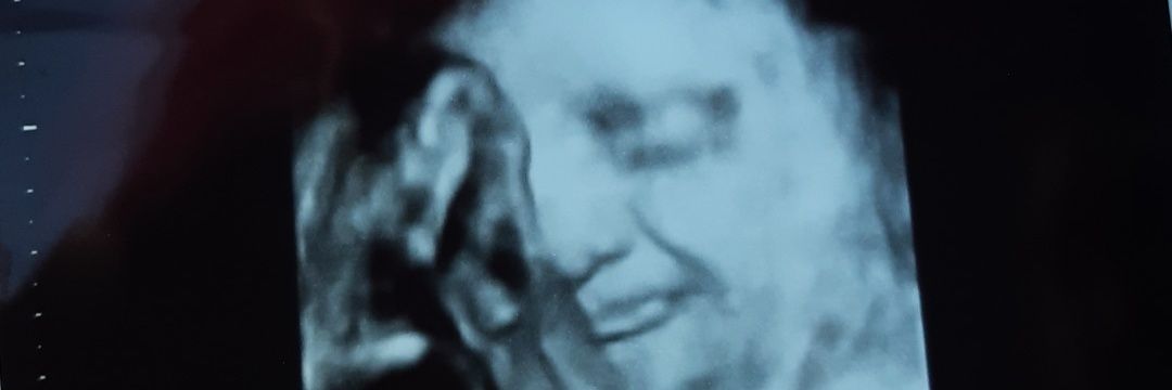 paotro09's profile banner image