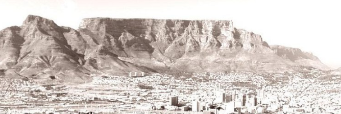 Elmin Steyn banner