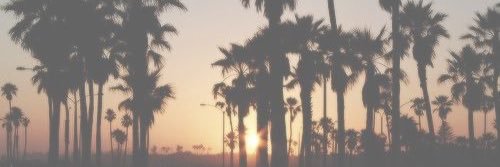 StunningCilla's profile banner image