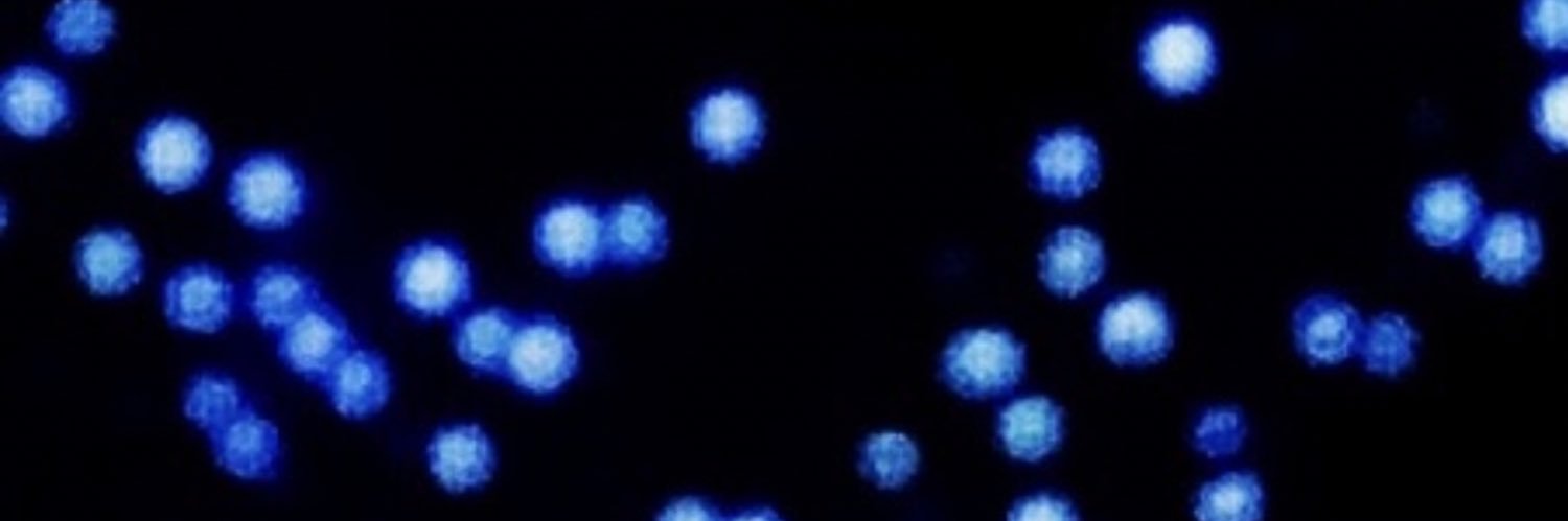 suzipotts1's profile banner image