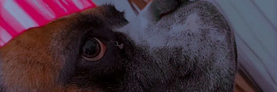 Aruualvarez's profile banner image